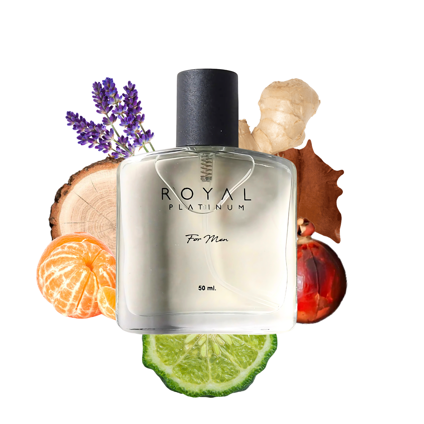 M584 Inspired By Boss The Scent