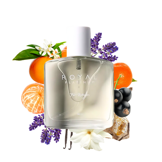 W228 Inspired by Libre Intense
