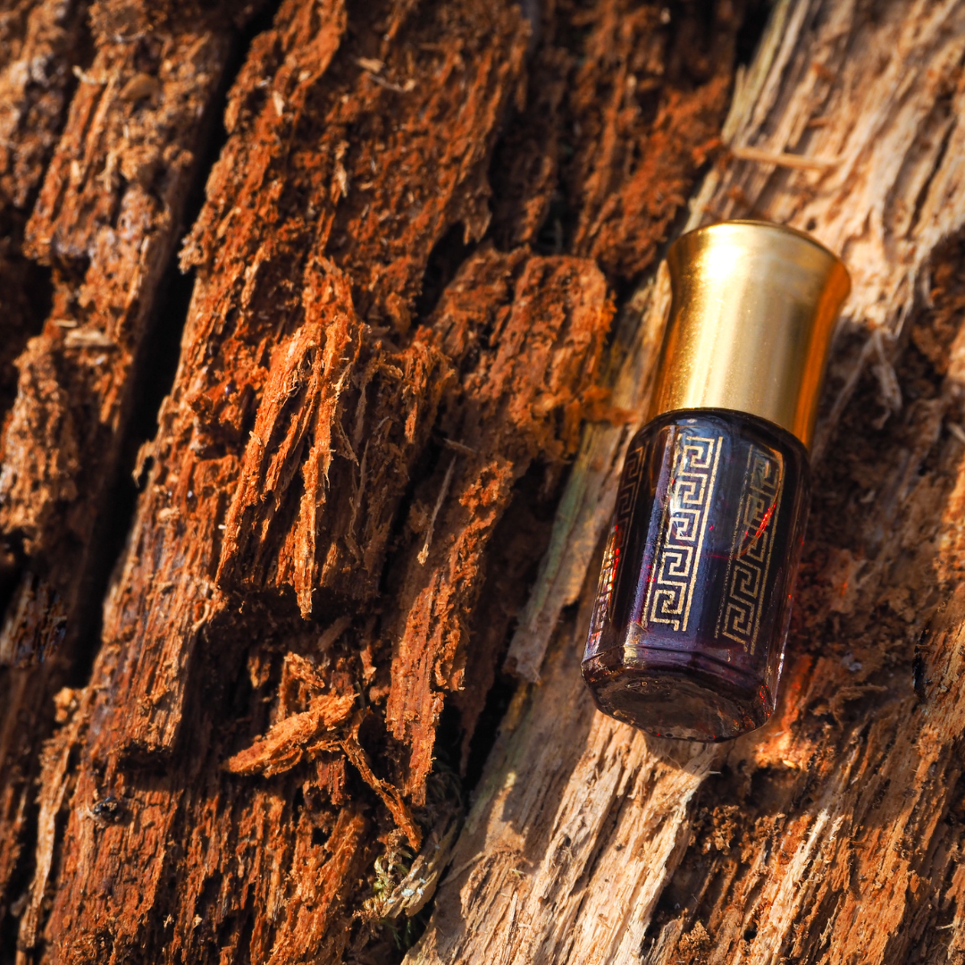 PATCHOULI 120 ML BAMBOO STICK REED DIFFUSER