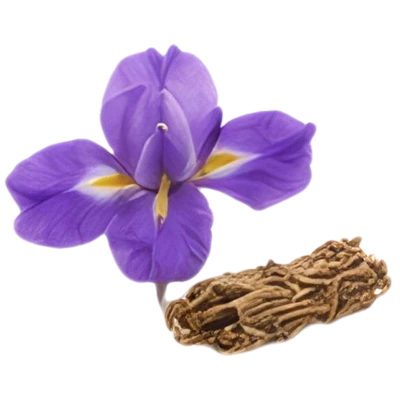 Ірис
